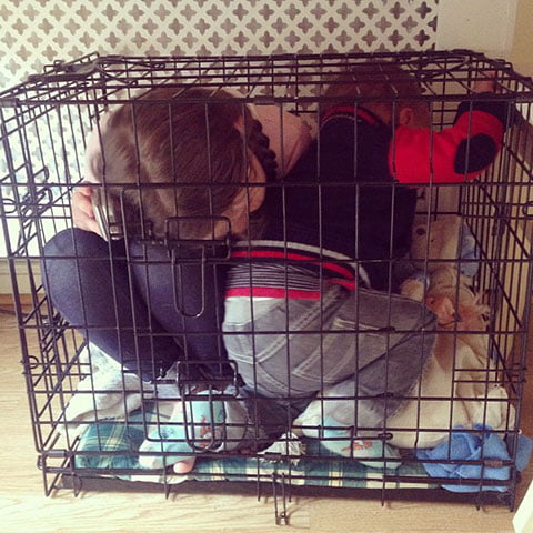 The Children Decided To Play In The Dog Cage