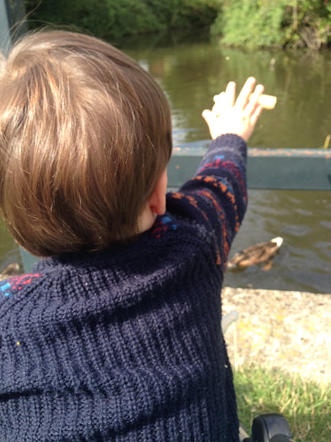 Feeding Some Duckies