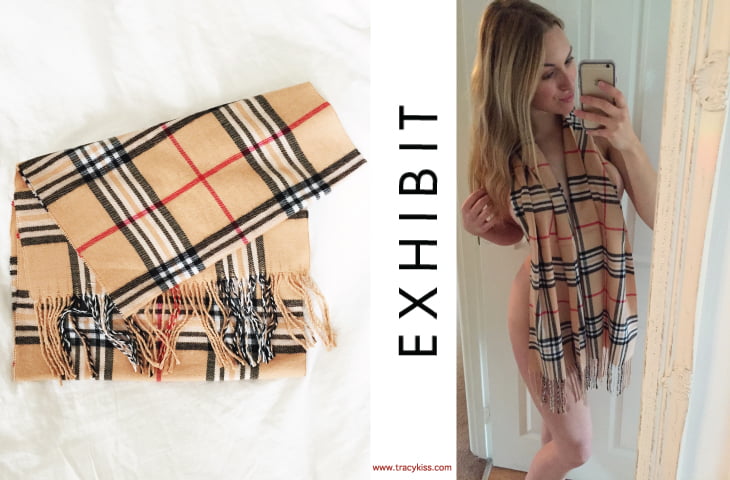 Exhibit Camel Window Pane Scarf